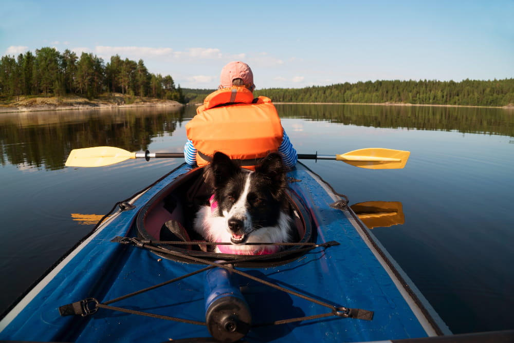 kayac con perro